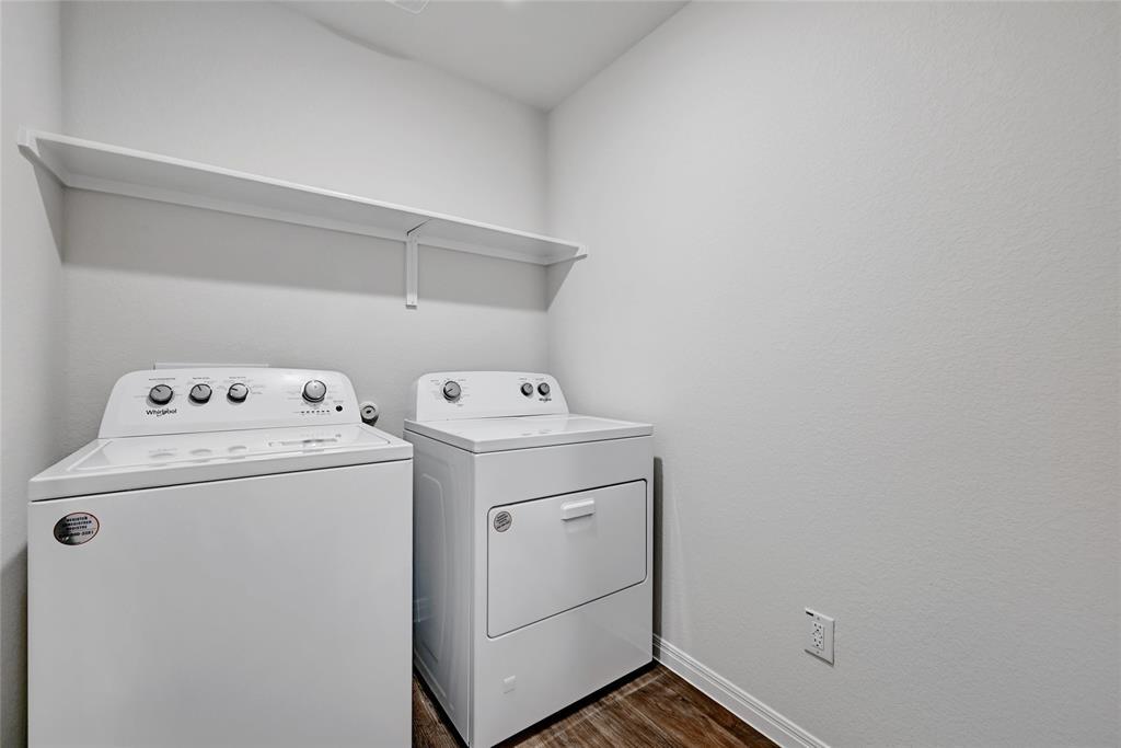 295 Evergreen Sumac LOOP