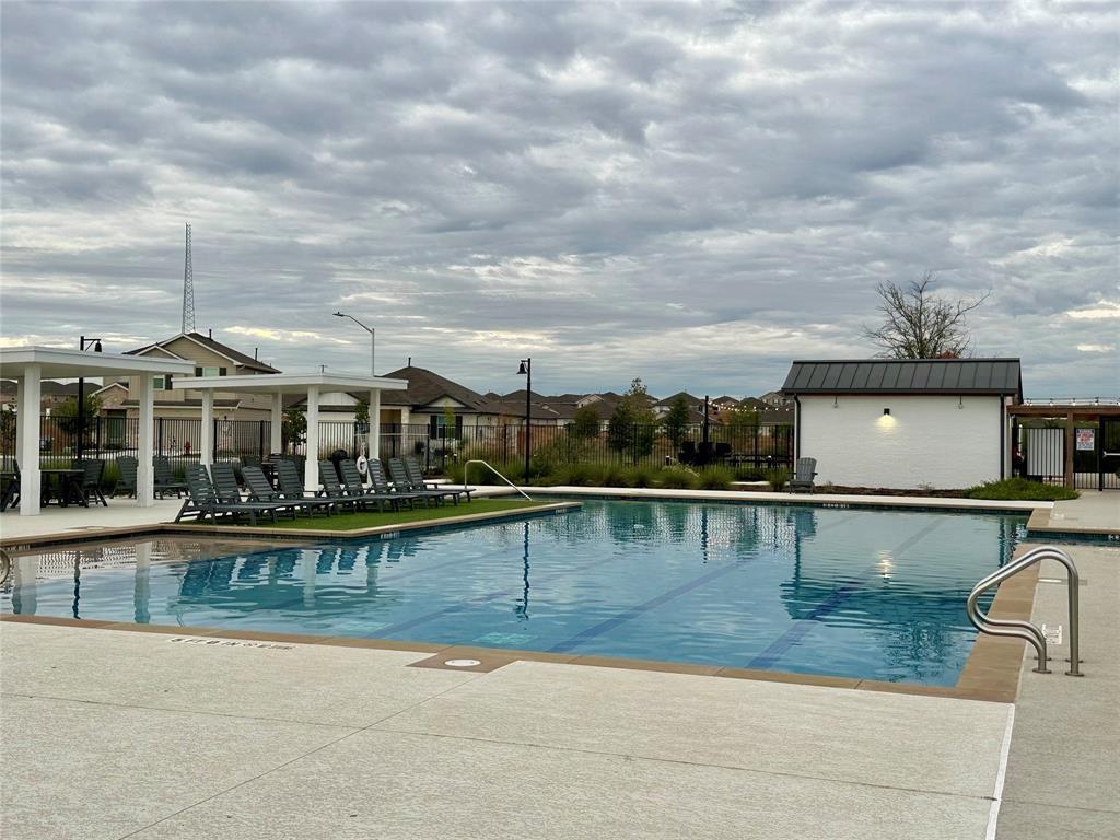 295 Evergreen Sumac LOOP