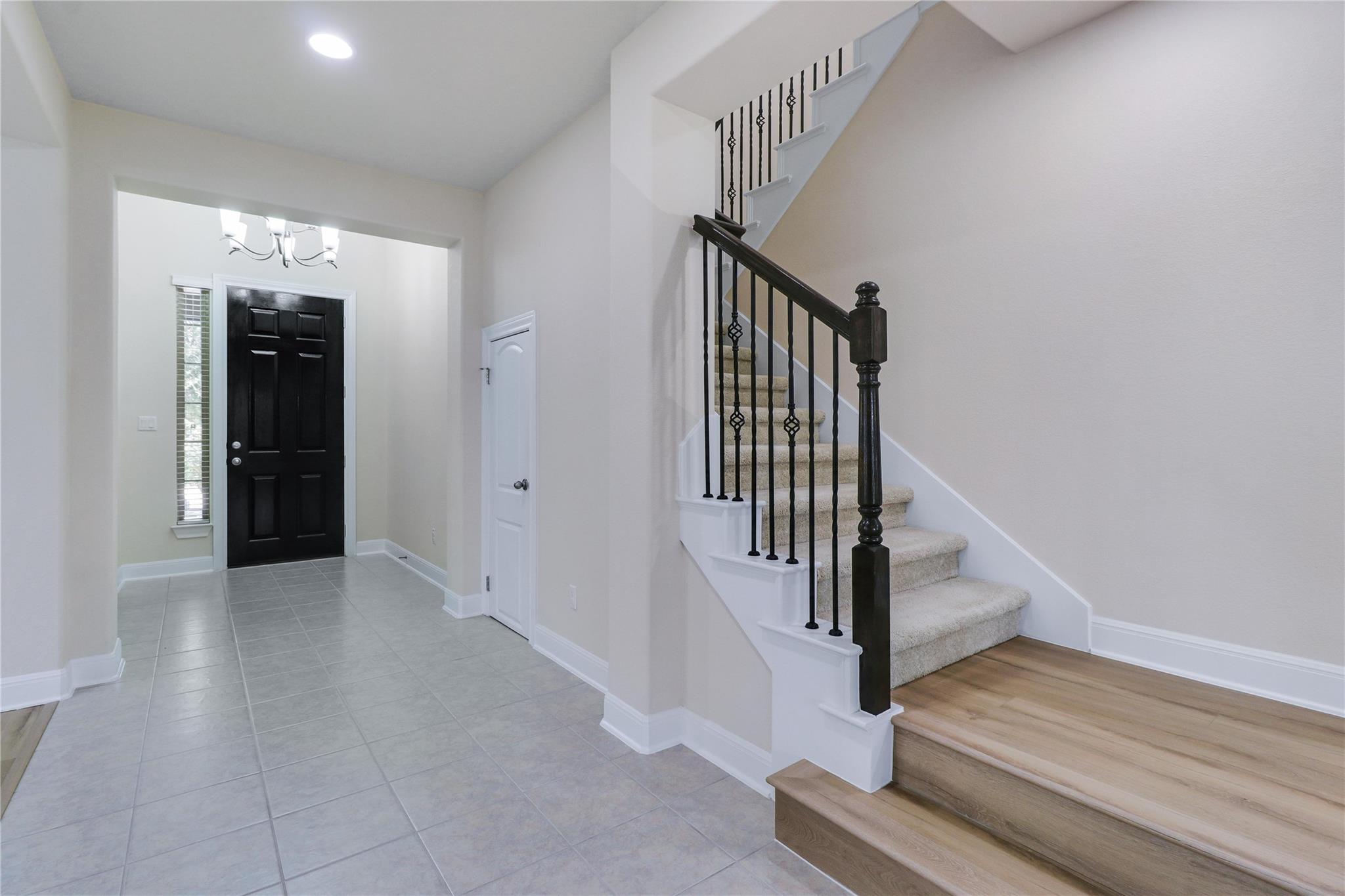 3009 Silvergrass CV