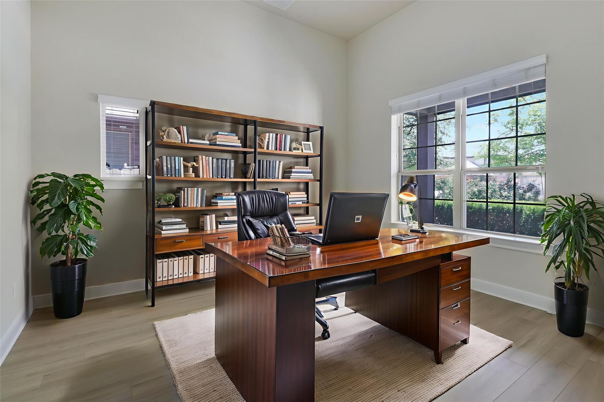 3009 Silvergrass CV