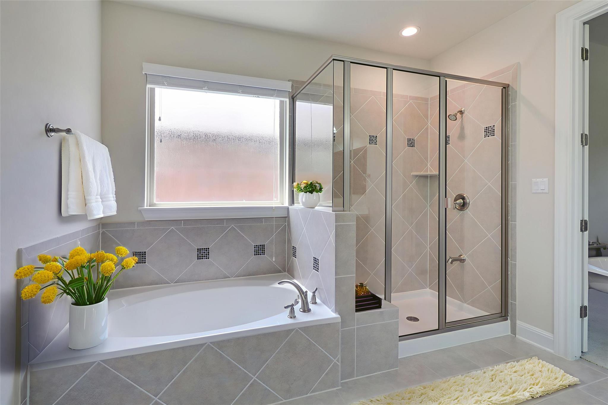 3009 Silvergrass CV