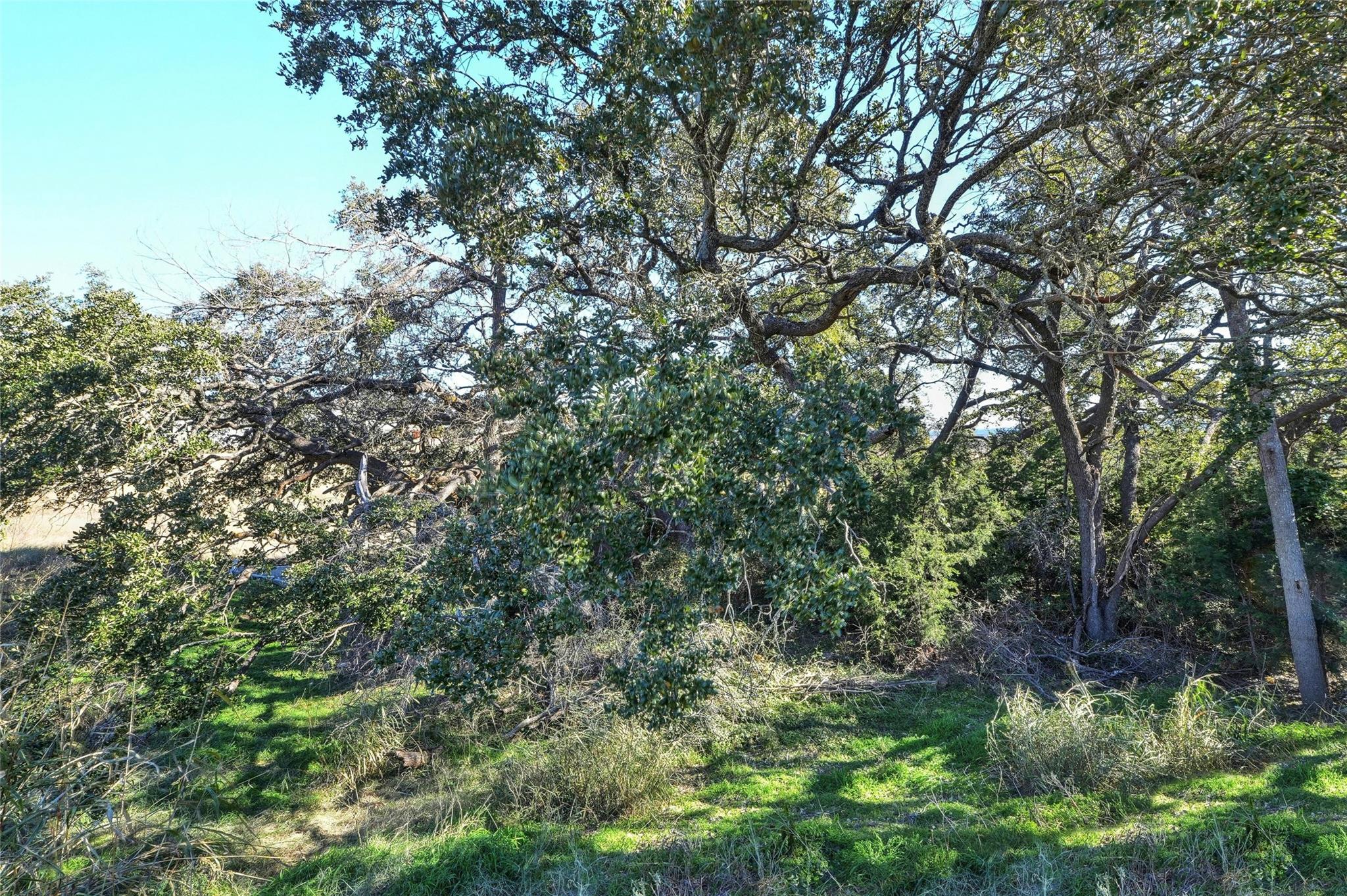 424 Red Buckeye LOOP