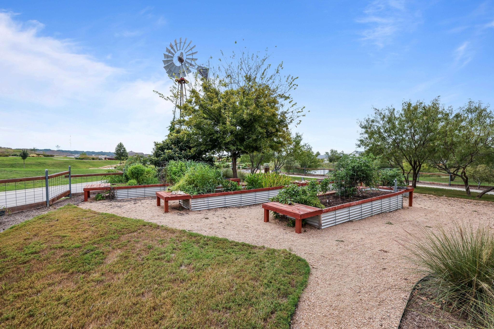 424 Red Buckeye LOOP