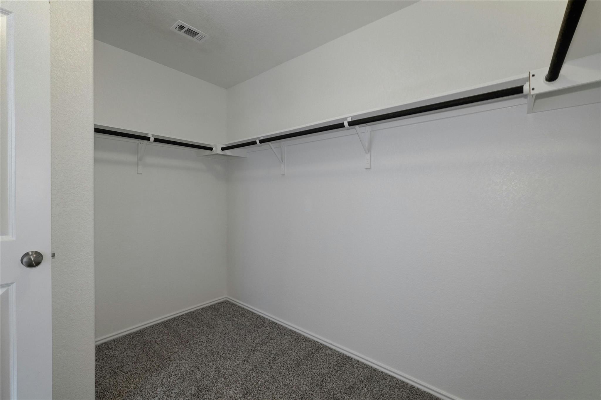 424 Red Buckeye LOOP