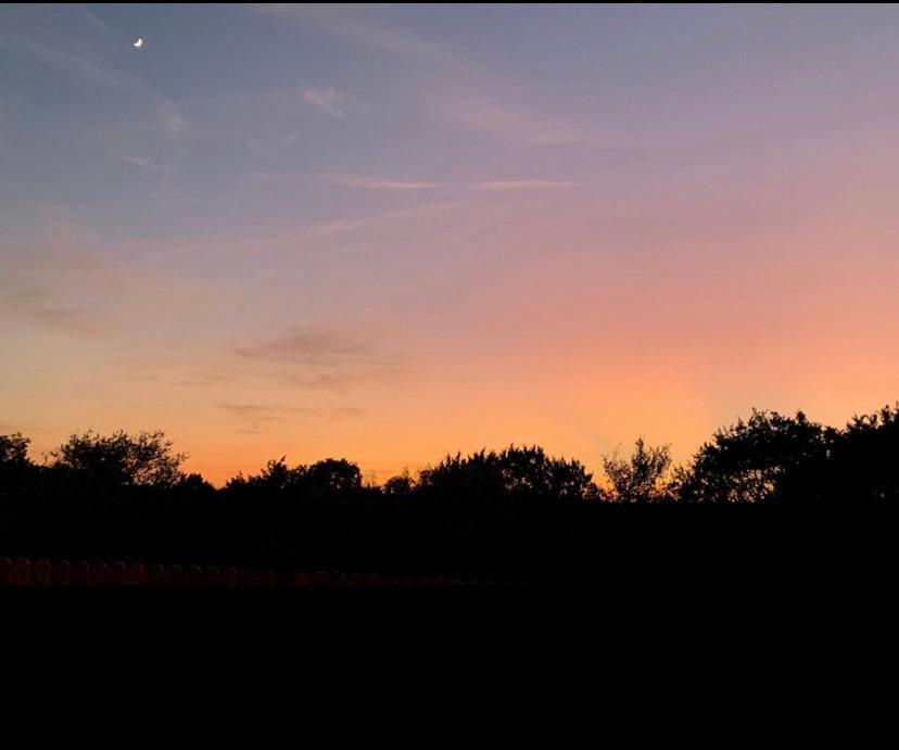 1901 Alamo Heights Ave