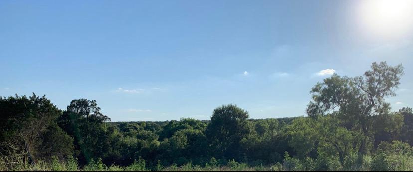 1901 Alamo Heights Ave