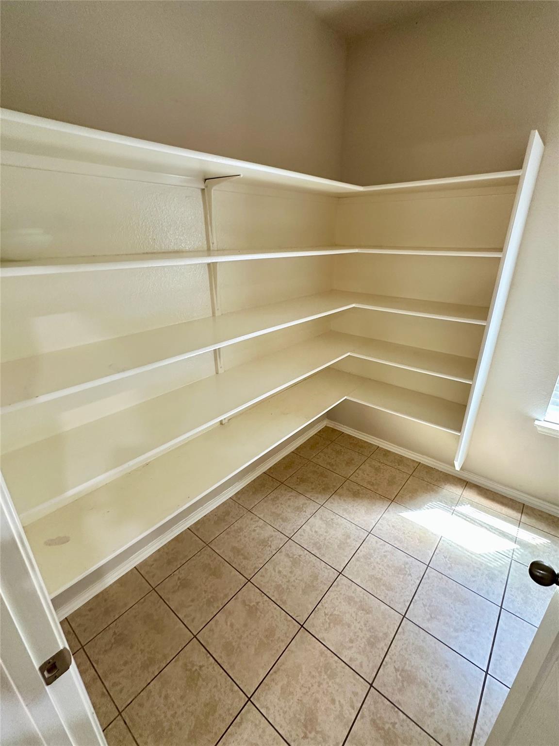 8633 White Ibis DR