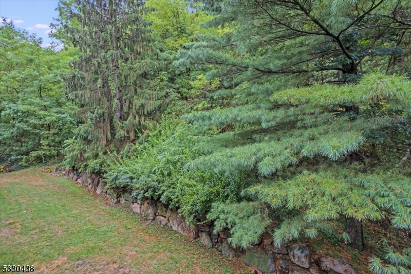 41 Mt Kemble Ave403 403