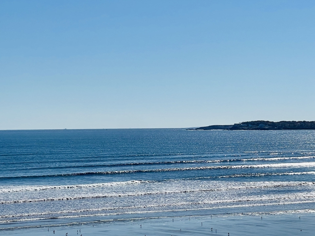 300 Lynn Shore Dr Unit: 401