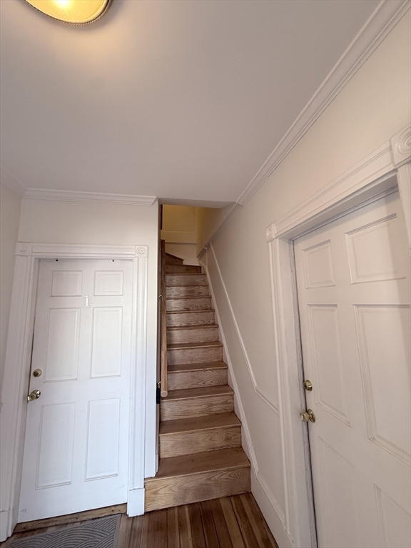 8 White Ave