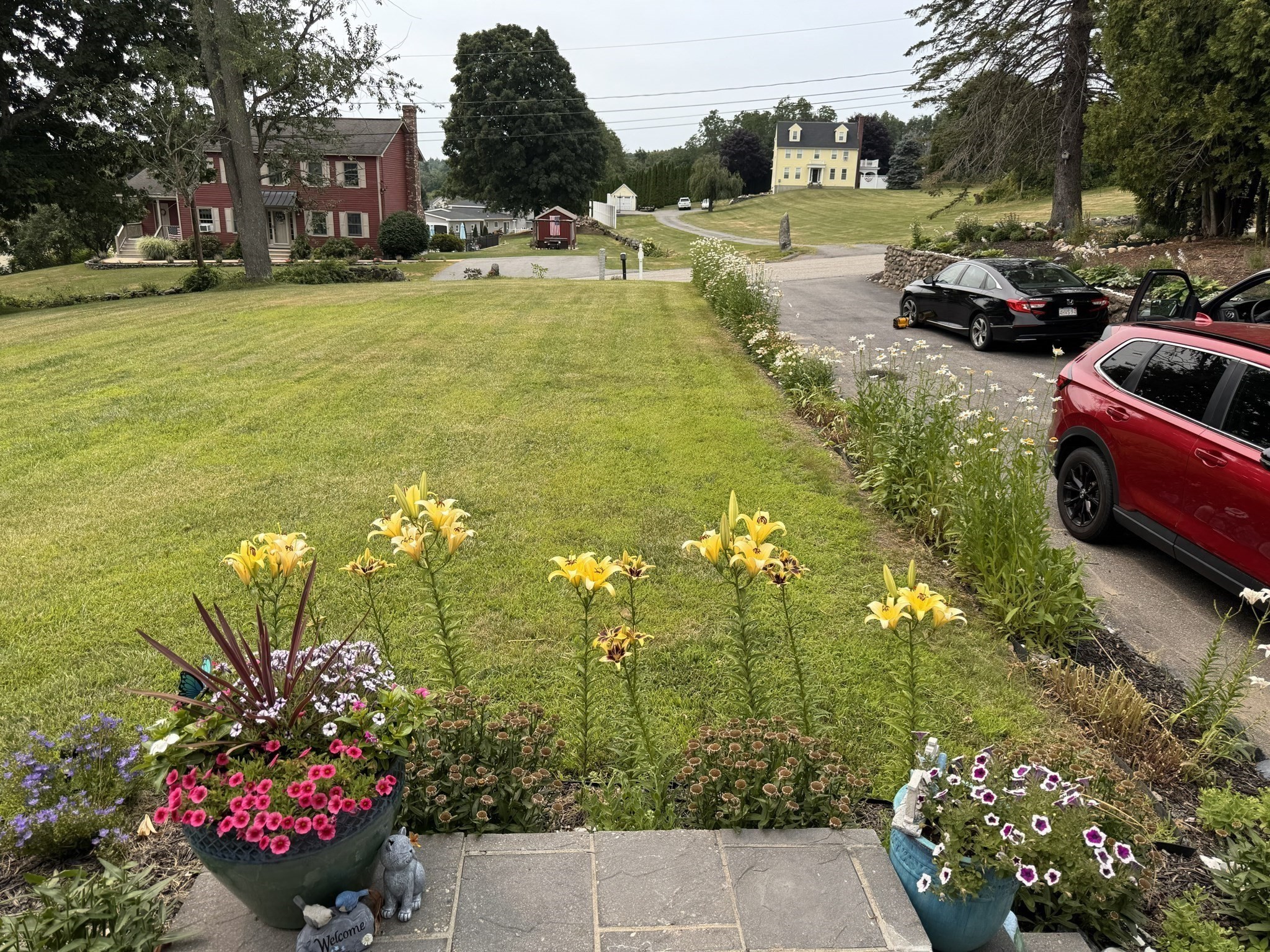 Flower-filled lawn and garden beside a driveway, with houses in the background.
