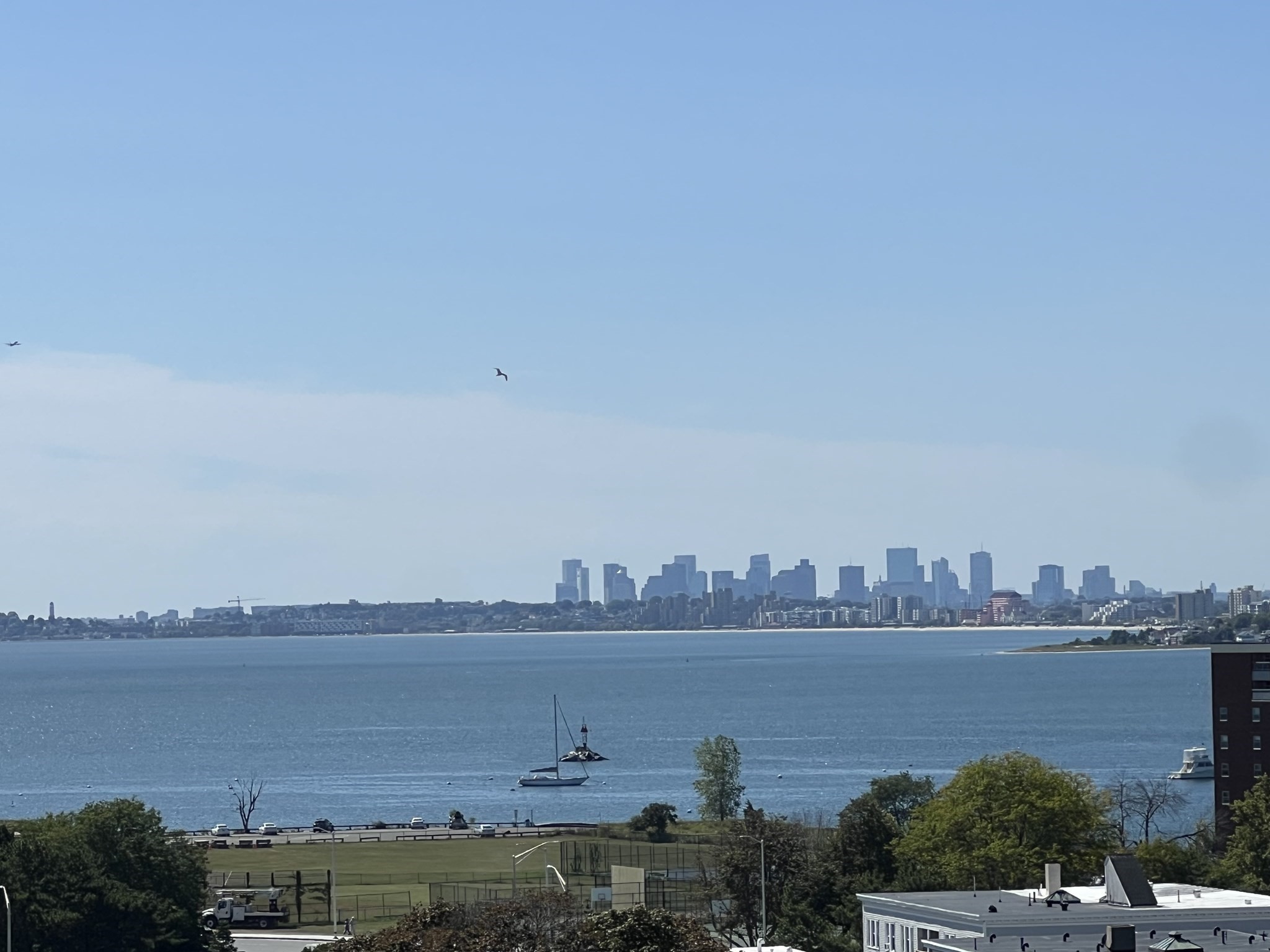 300 Lynn Shore Dr Unit: 1001