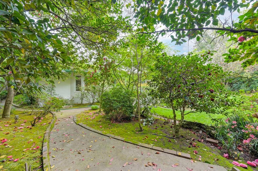 3230 American River Drive