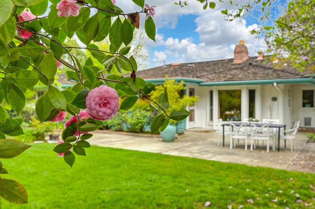 3230 American River Drive