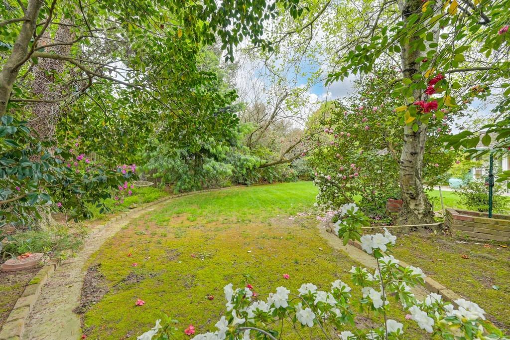 3230 American River Drive