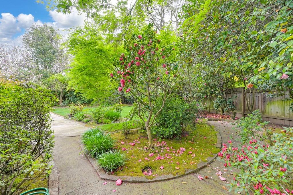 3230 American River Drive