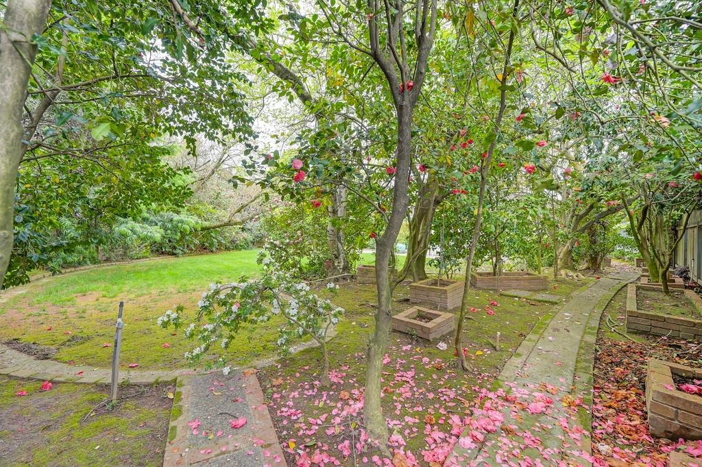 3230 American River Drive