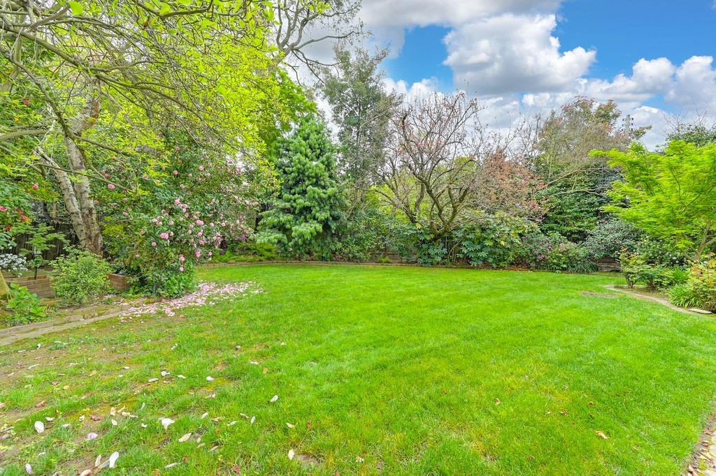 3230 American River Drive