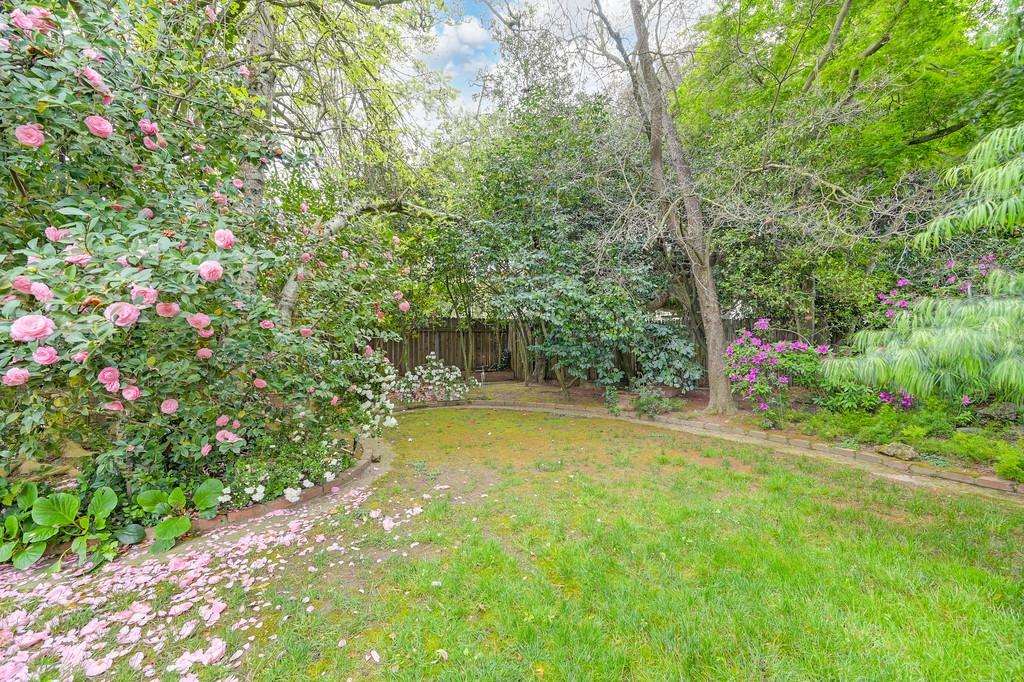 3230 American River Drive