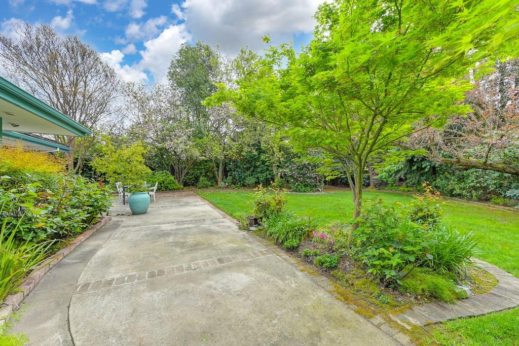 3230 American River Drive