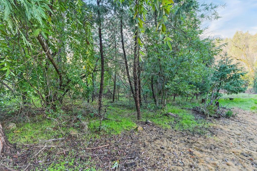 5211 Clear Creek Court