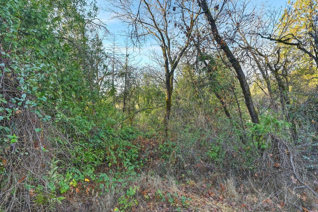 5211 Clear Creek Court