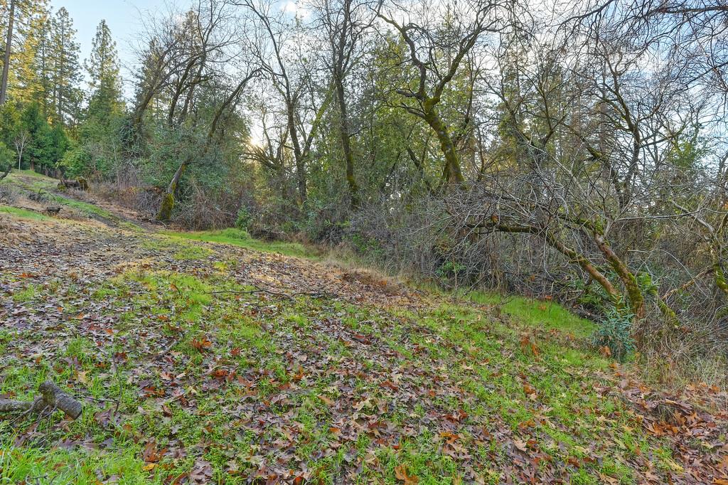 5211 Clear Creek Court