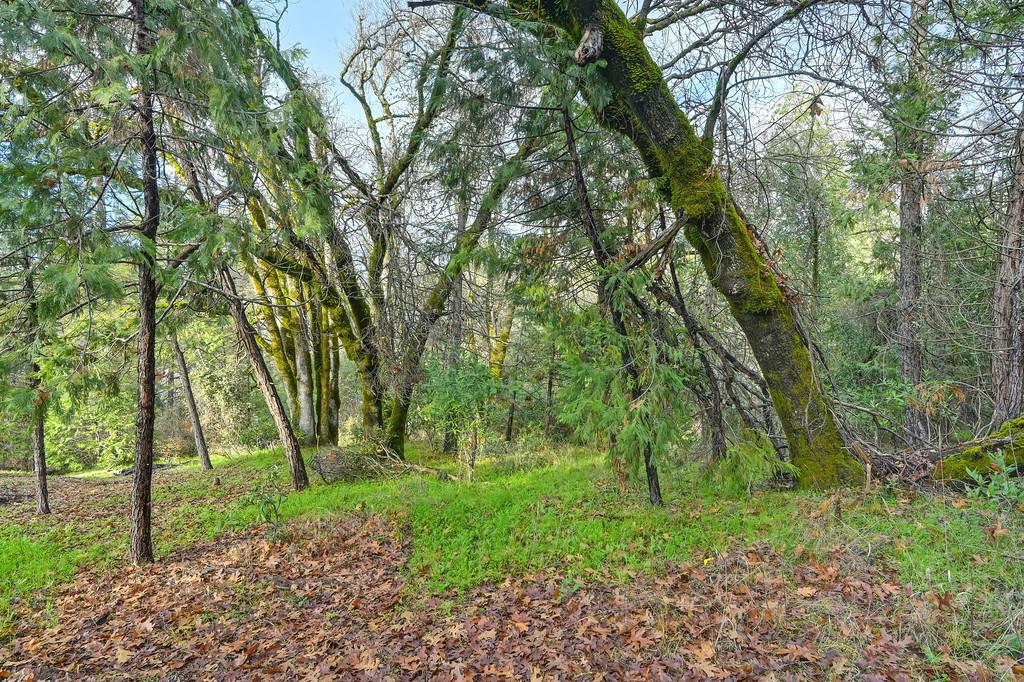 5211 Clear Creek Court