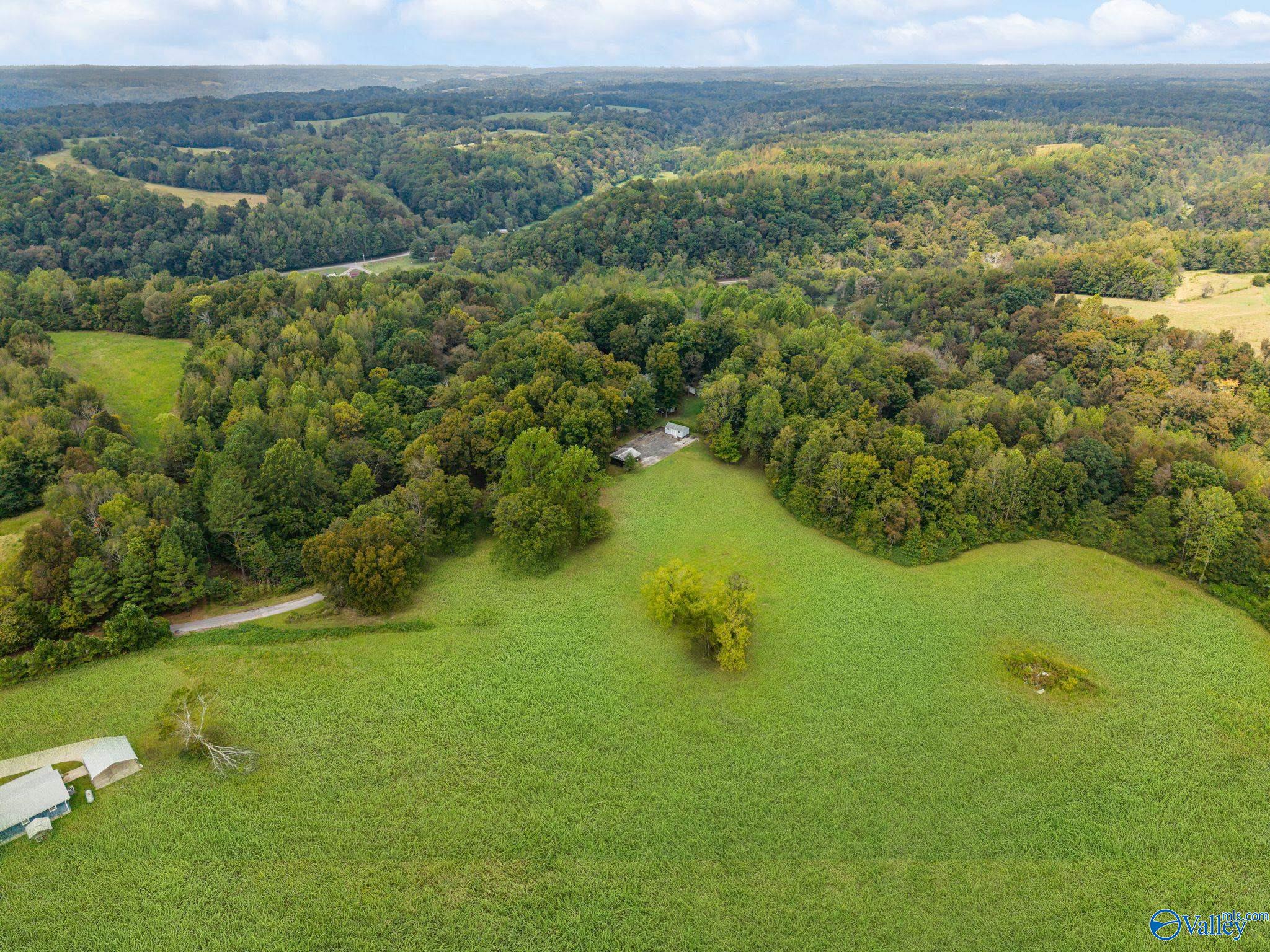27916 Aunt Ann Hill Road