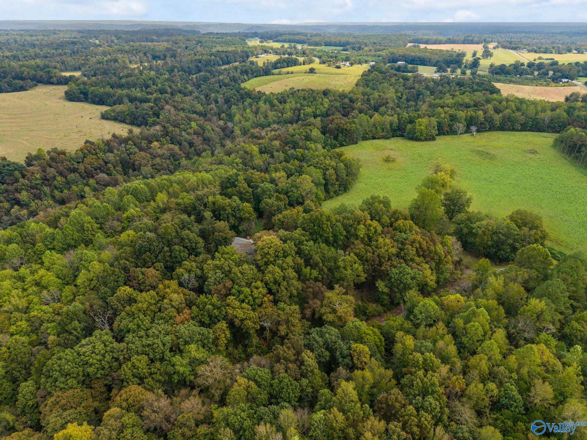 13.2 Aunt Ann Hill Road, Lester