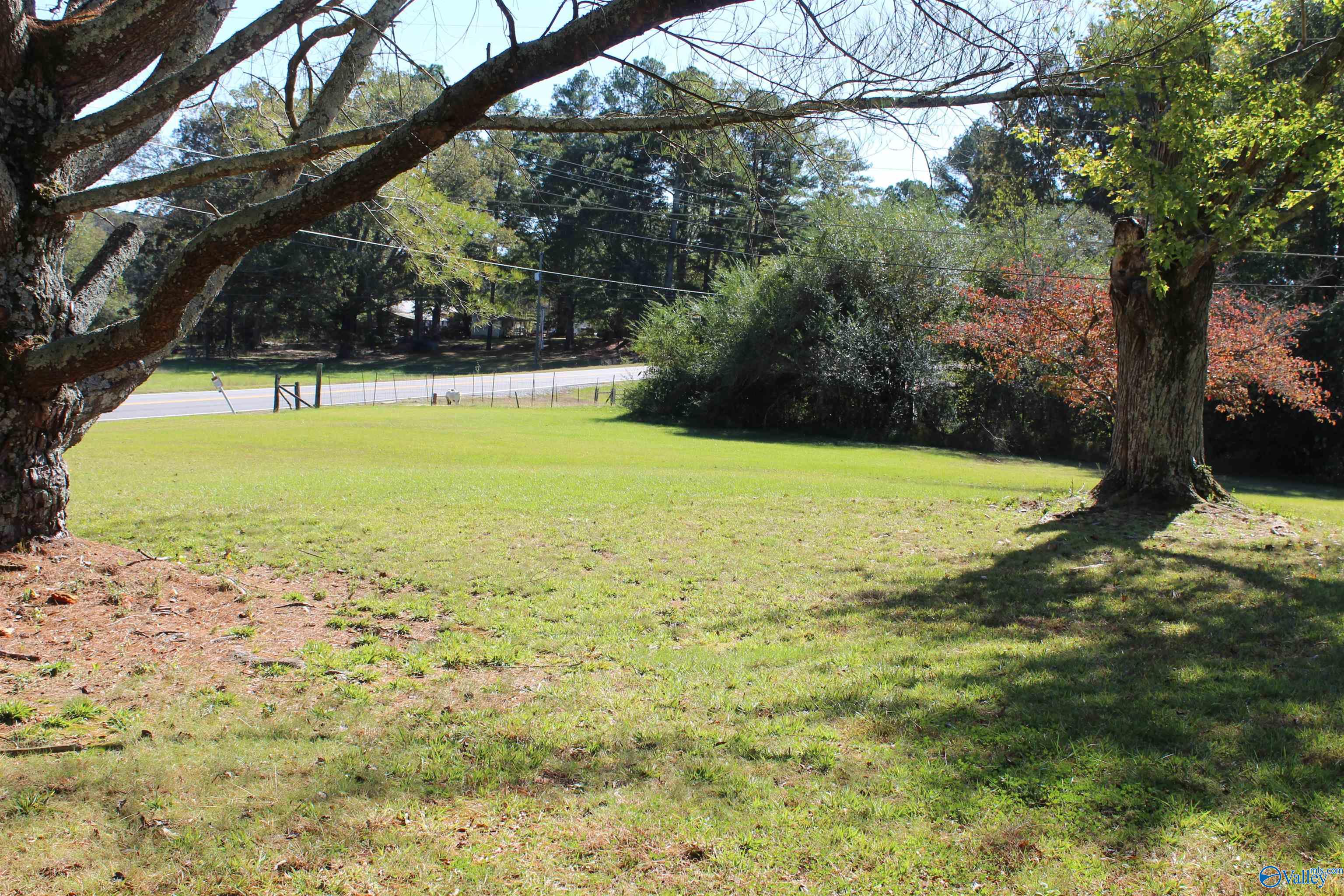 4415 County Road 217, Trinity