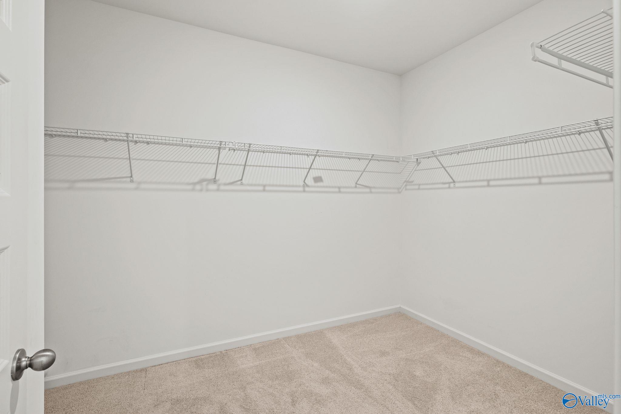 3025 Specklebelly Way