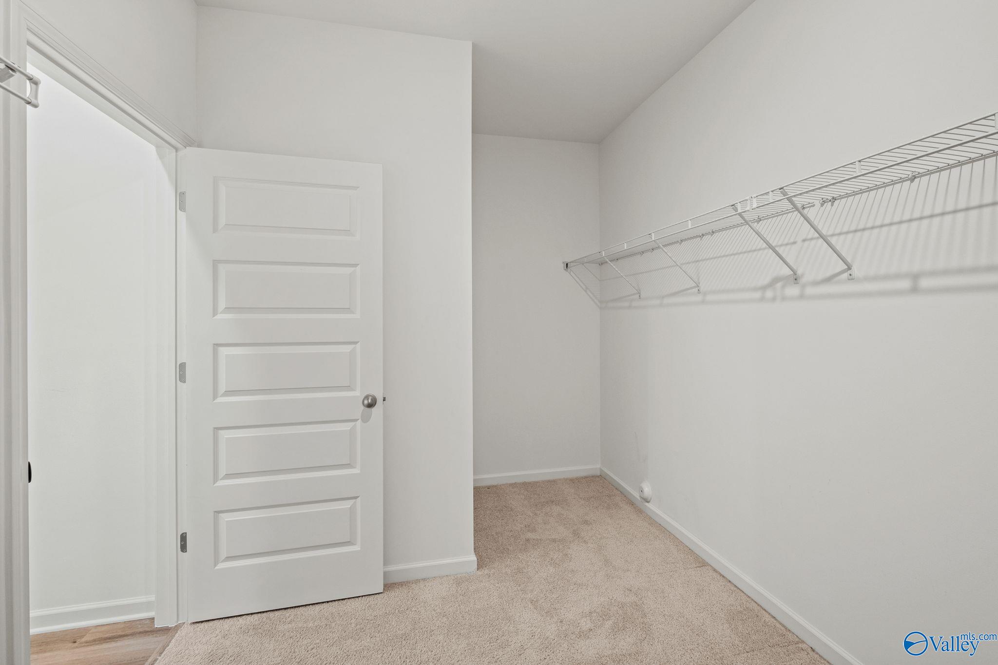 3025 Specklebelly Way