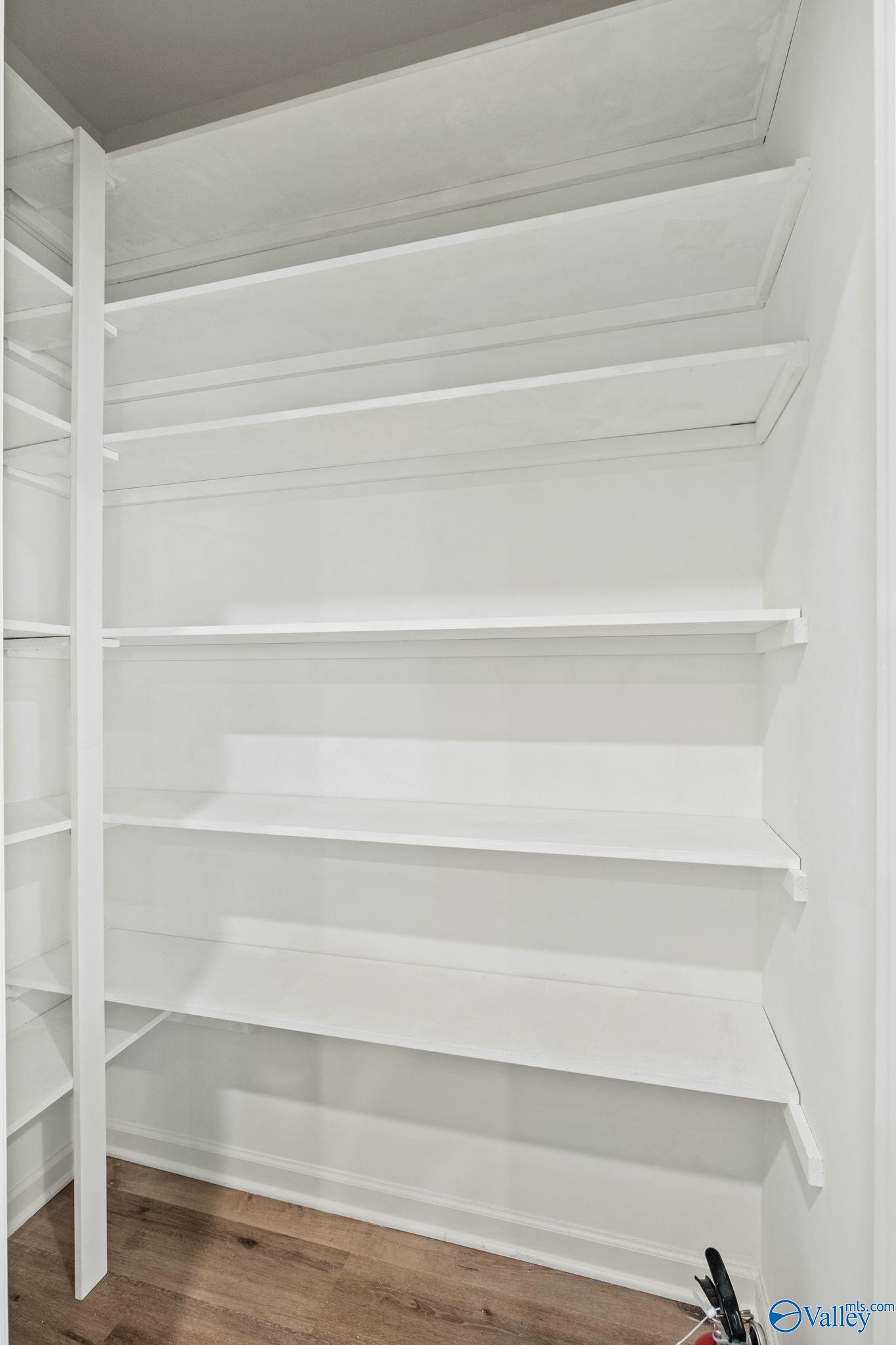 3025 Specklebelly Way