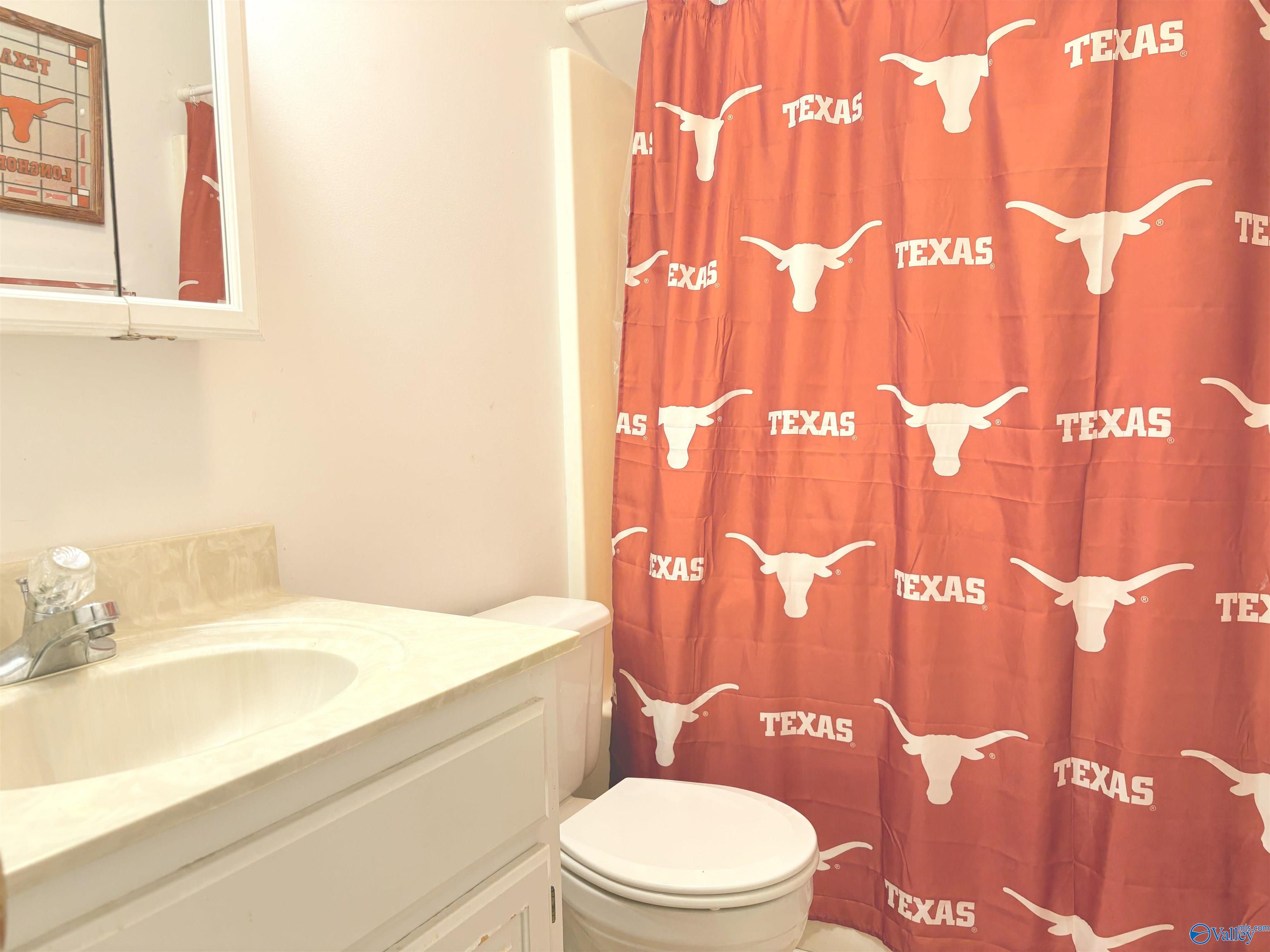 535 County Road 1535