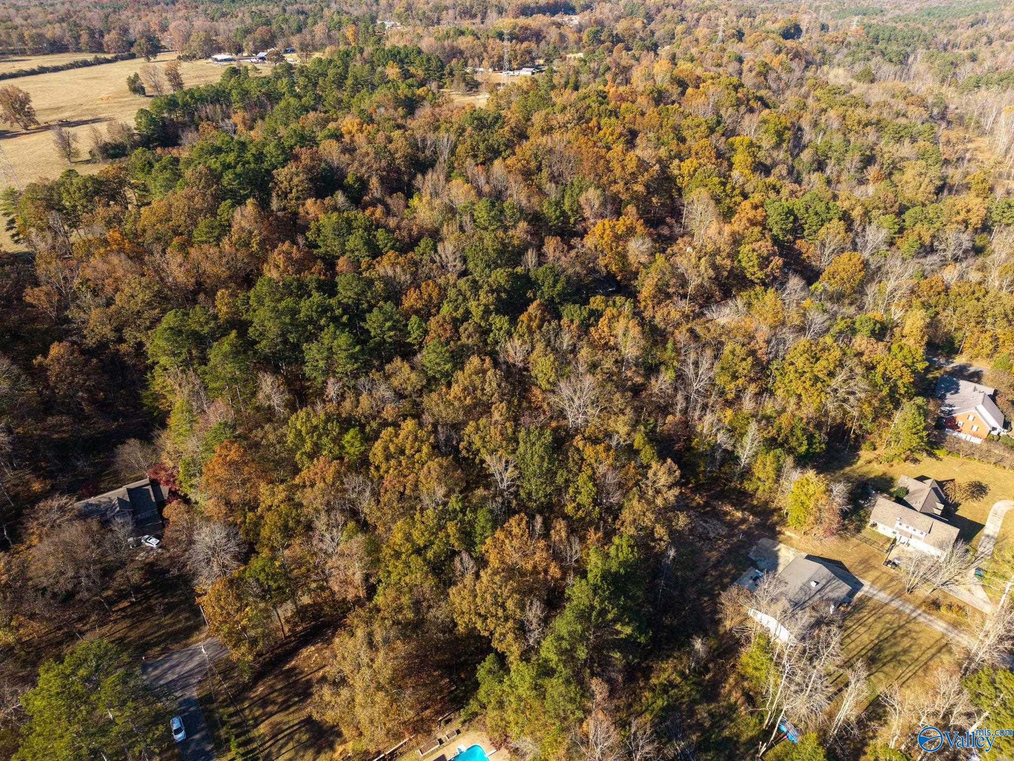 3825 Fall Bluff Drive SW