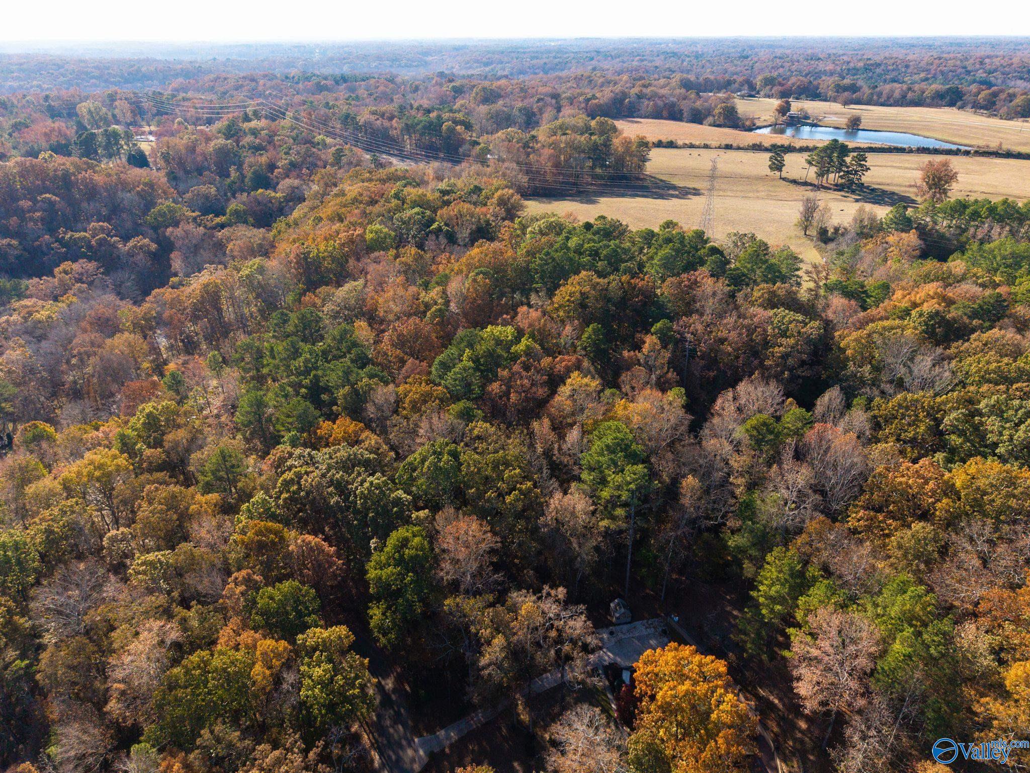 3825 Fall Bluff Drive SW