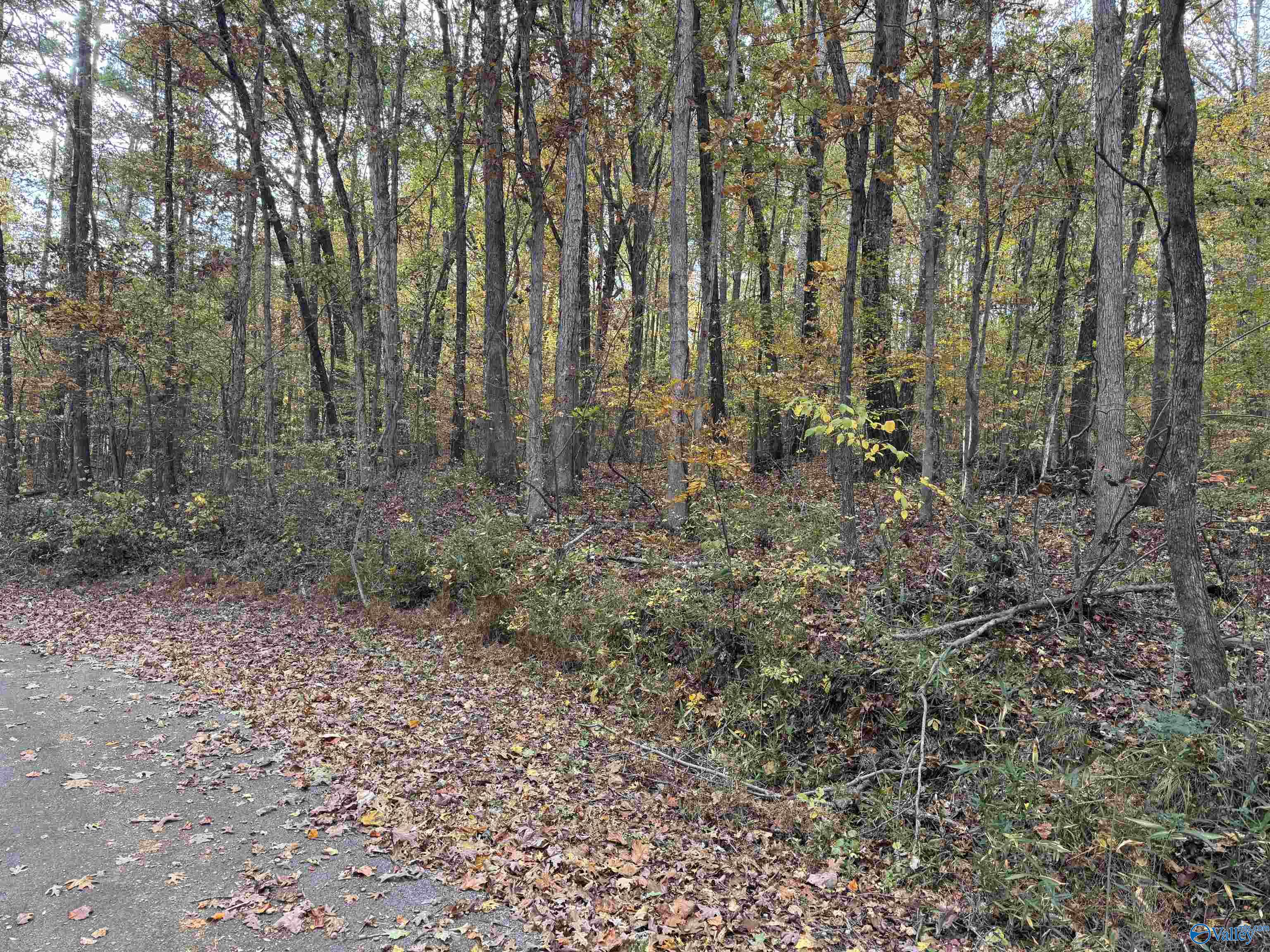 3825 Fall Bluff Drive SW