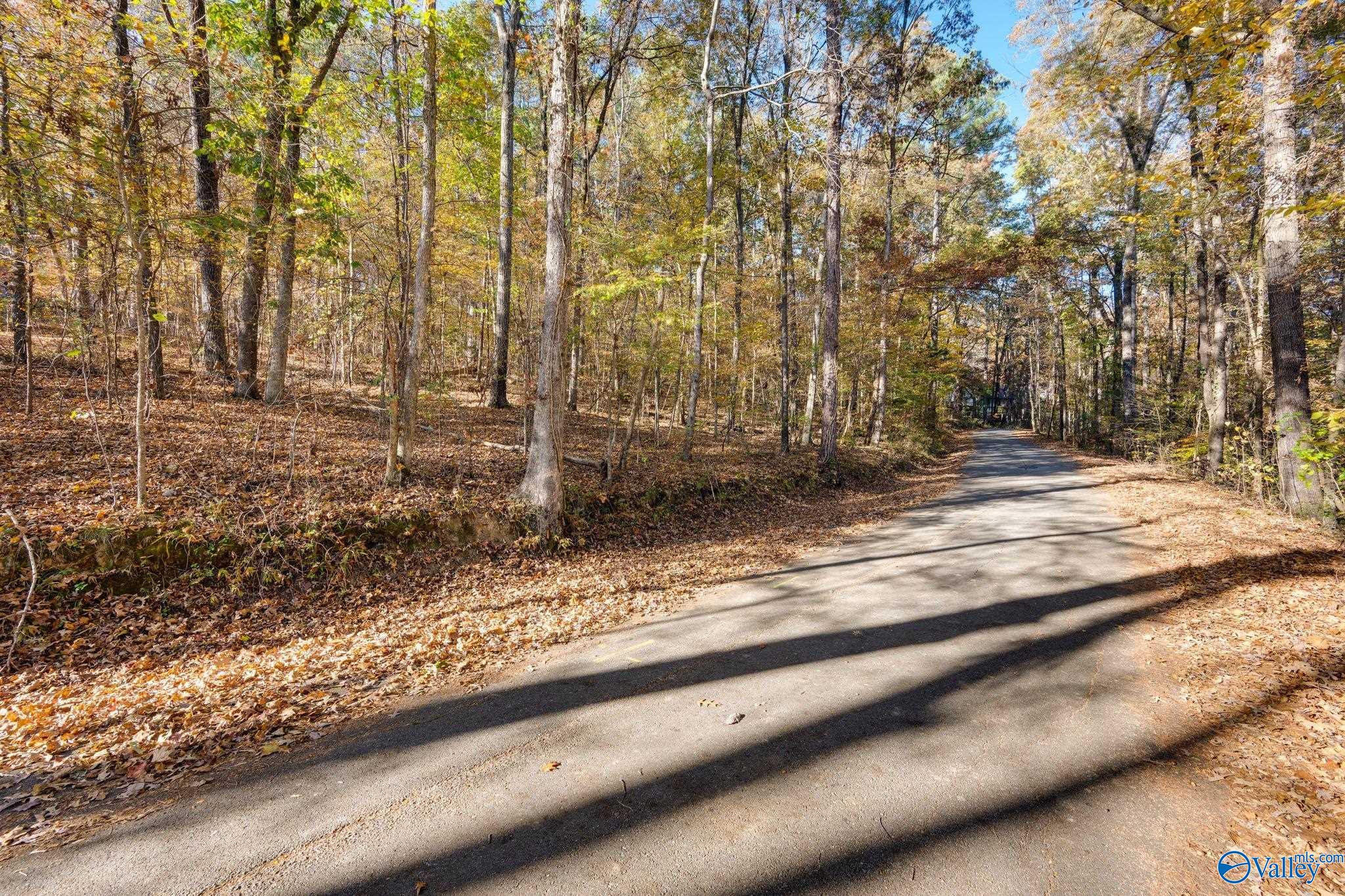 3825 Fall Bluff Drive SW