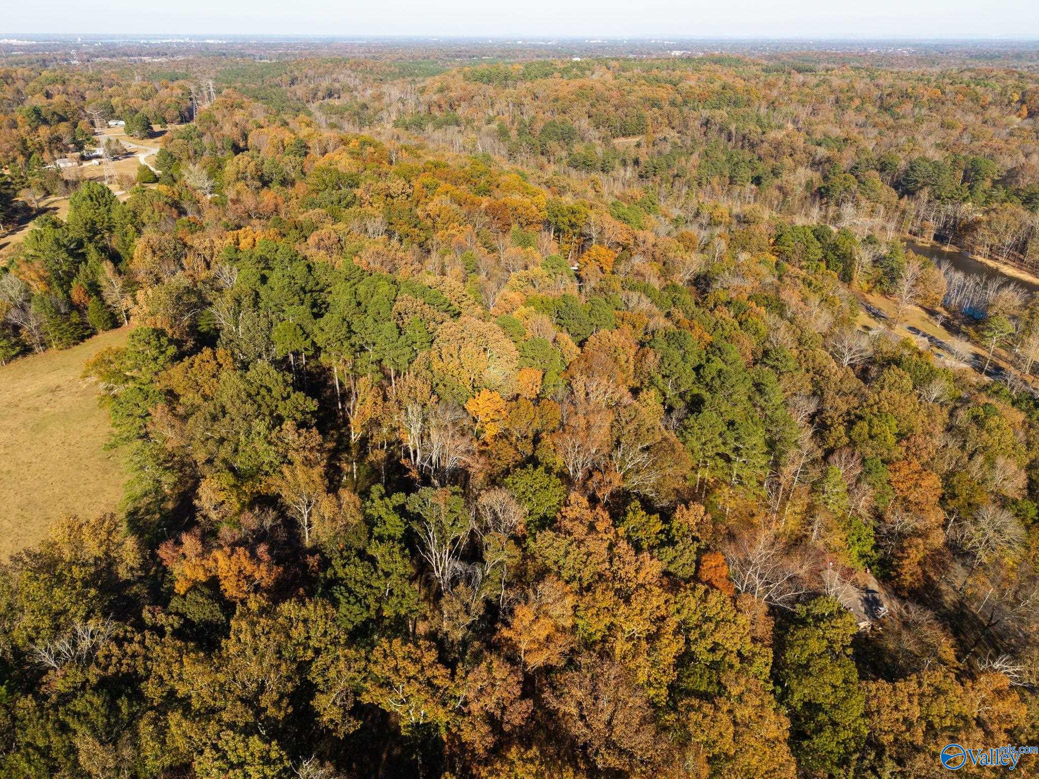 3825 Fall Bluff Drive SW