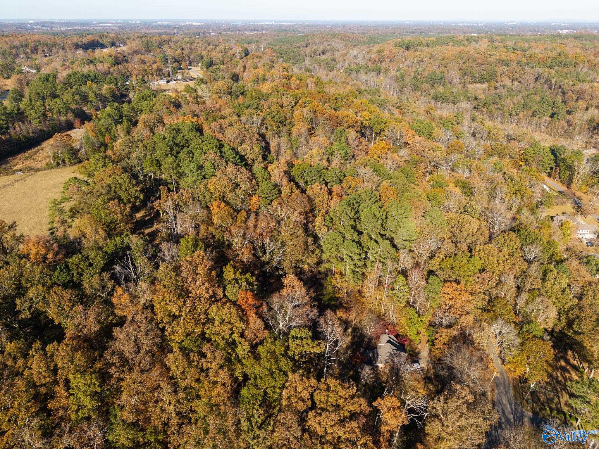 3825 Fall Bluff Drive SW