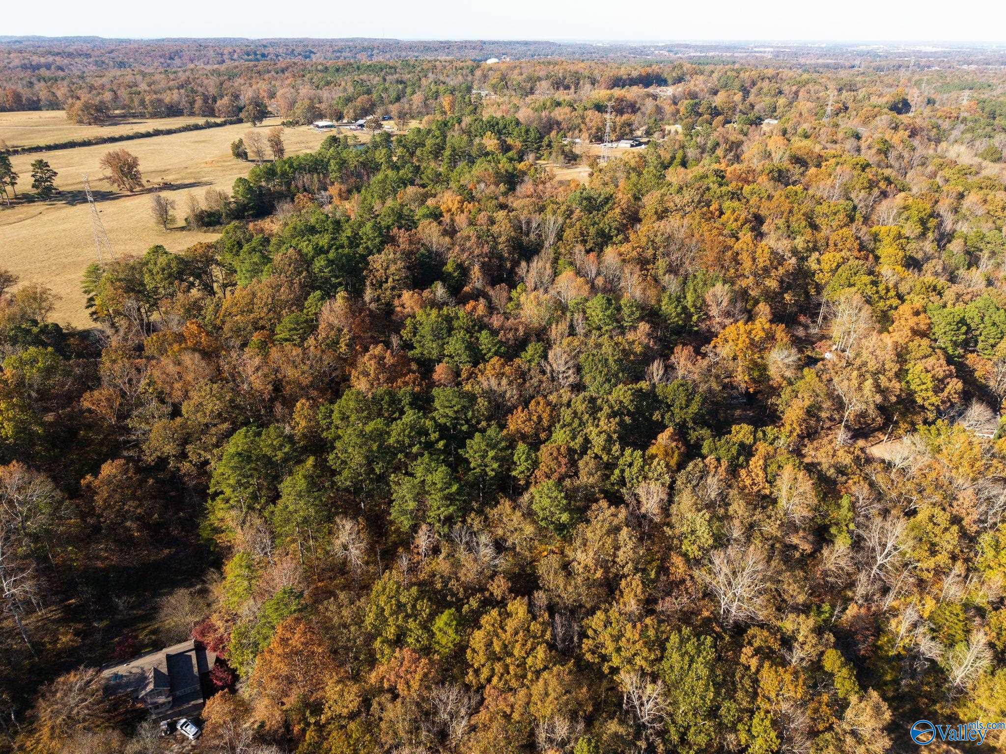 3825 Fall Bluff Drive SW