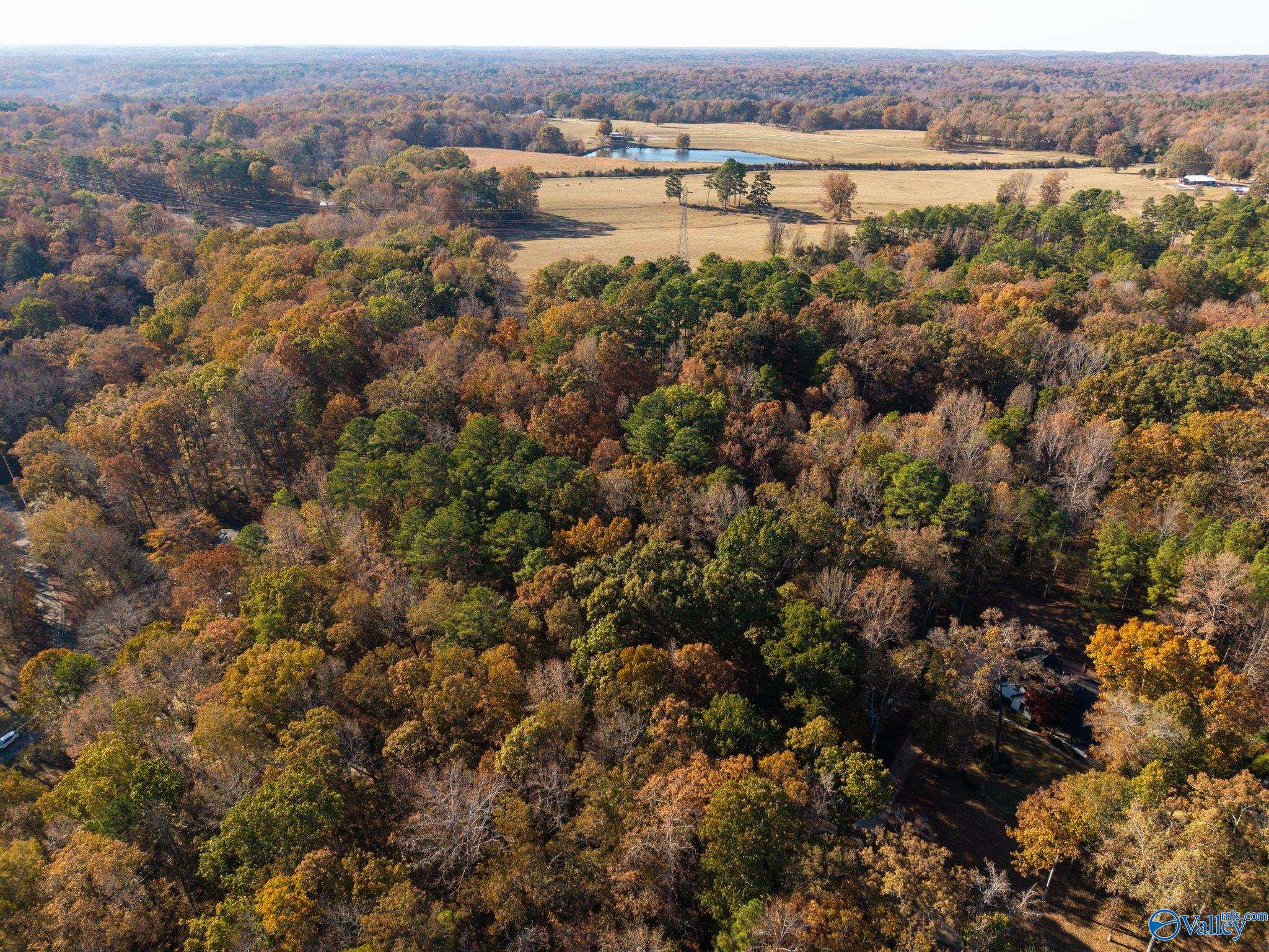 3825 Fall Bluff Drive SW