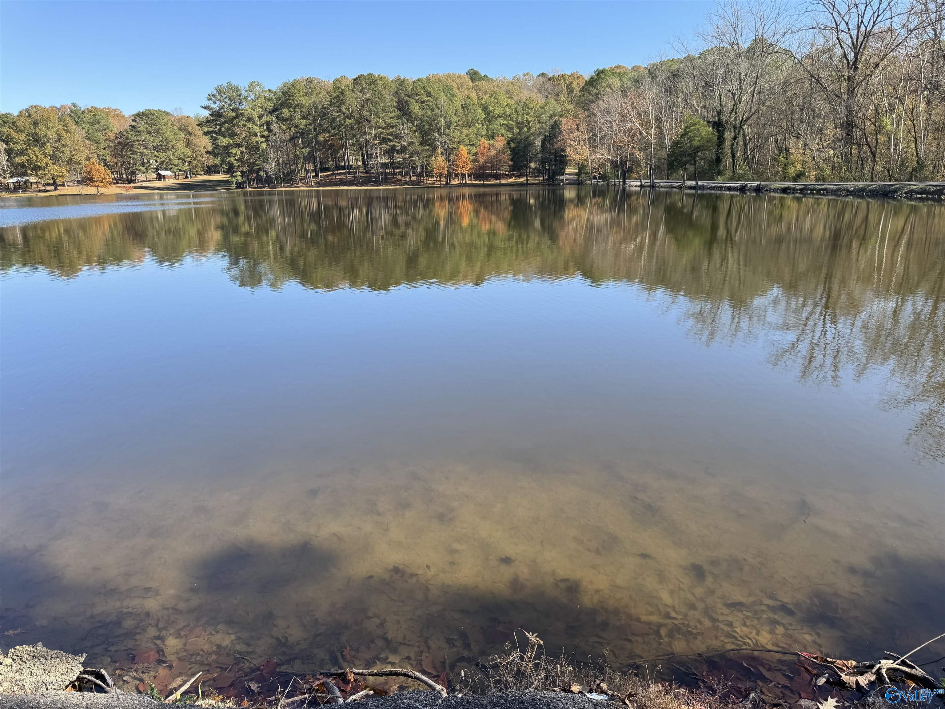 3825 Fall Bluff Drive SW