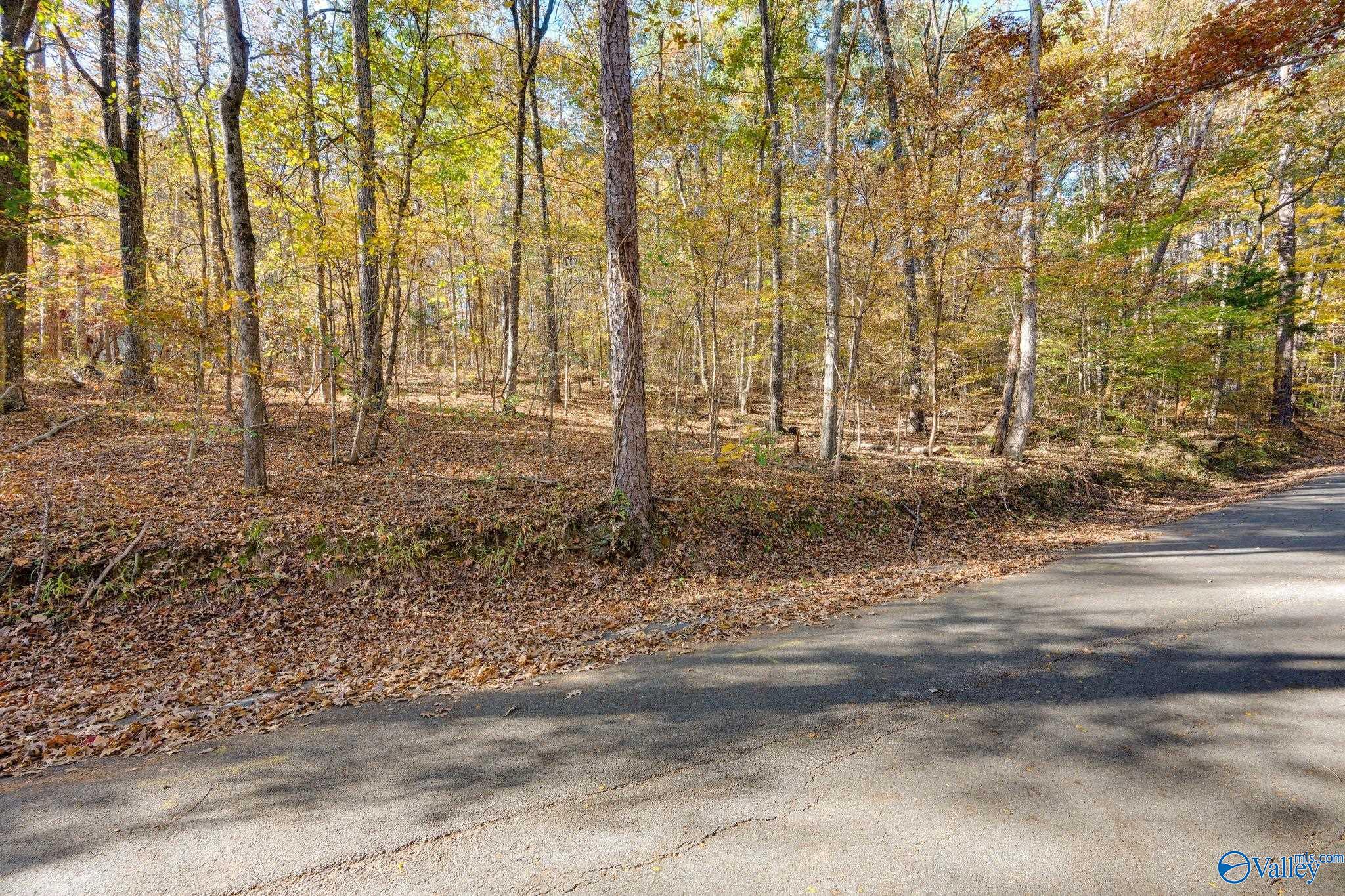 3817 SW Fall Bluff Drive SW