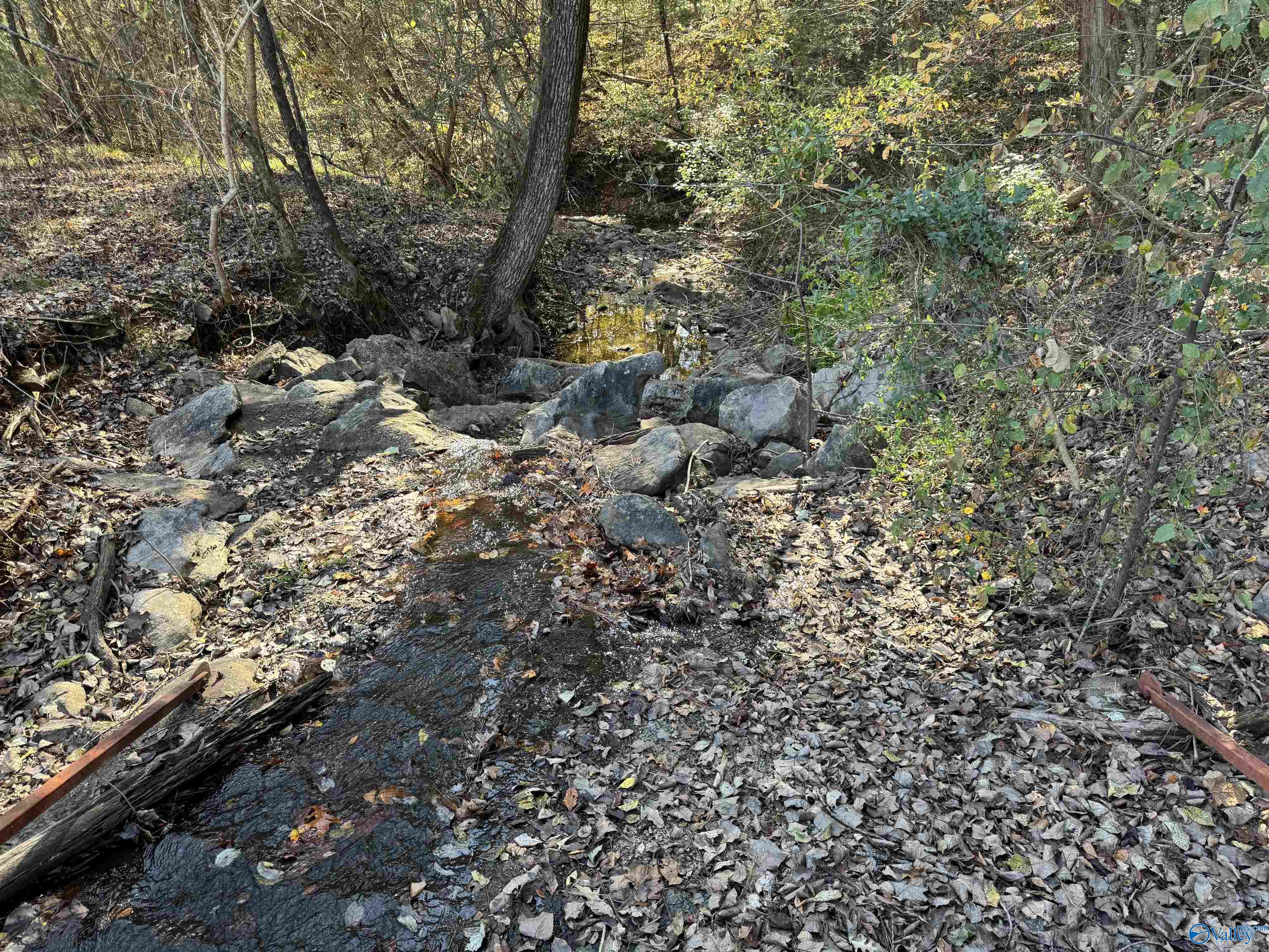 3817 SW Fall Bluff Drive SW