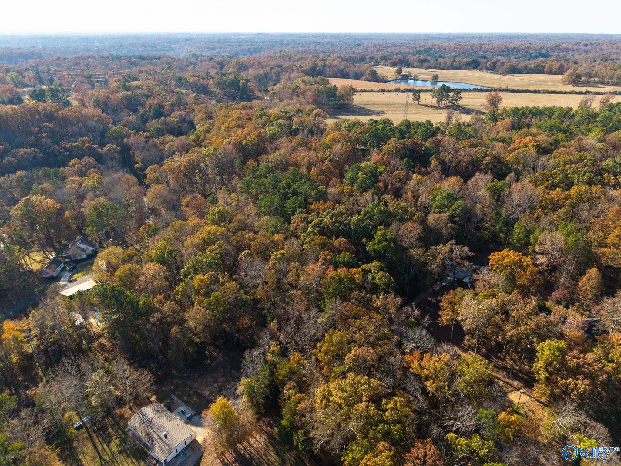 3817 SW Fall Bluff Drive SW