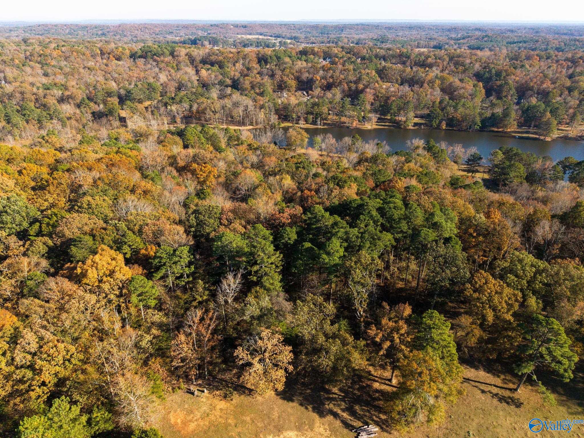 3817 SW Fall Bluff Drive SW