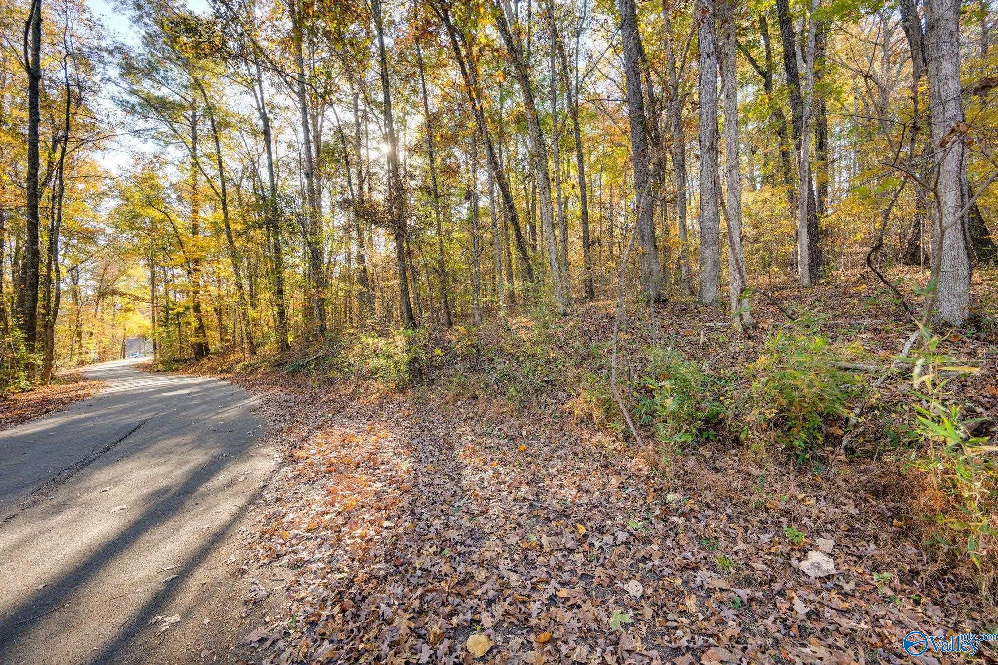 3817 SW Fall Bluff Drive SW