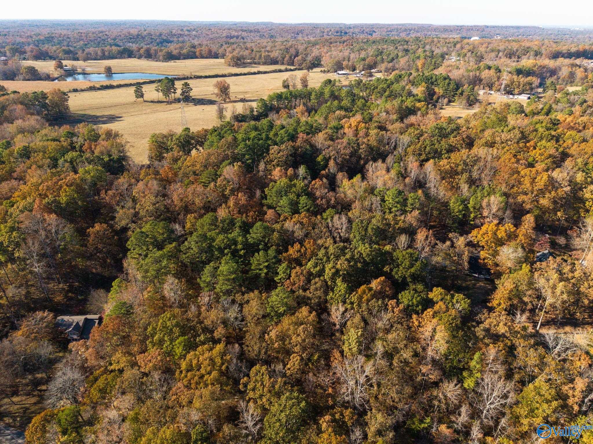 3817 SW Fall Bluff Drive SW